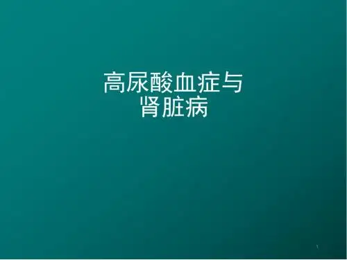 高尿酸血症与肾脏病医学PPT课件