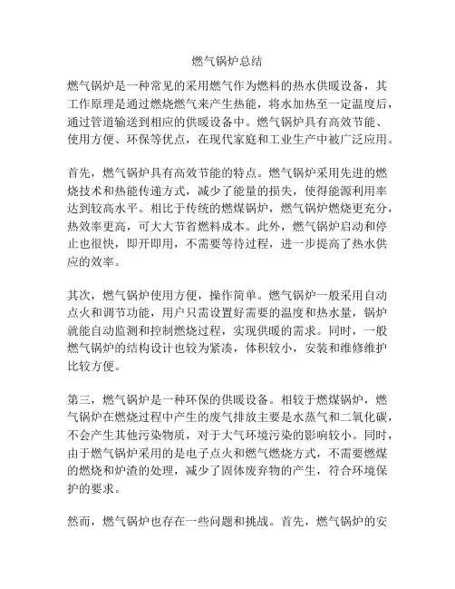 燃气锅炉总结