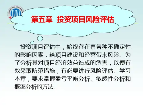 第五章投资项目的风险评估