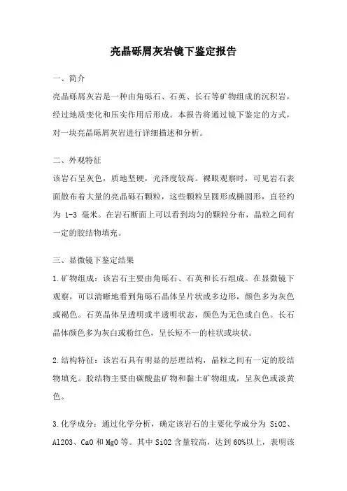 亮晶砾屑灰岩镜下鉴定报告