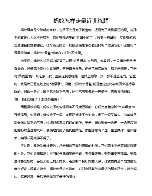 蚂蚁怎样走最近训练题
