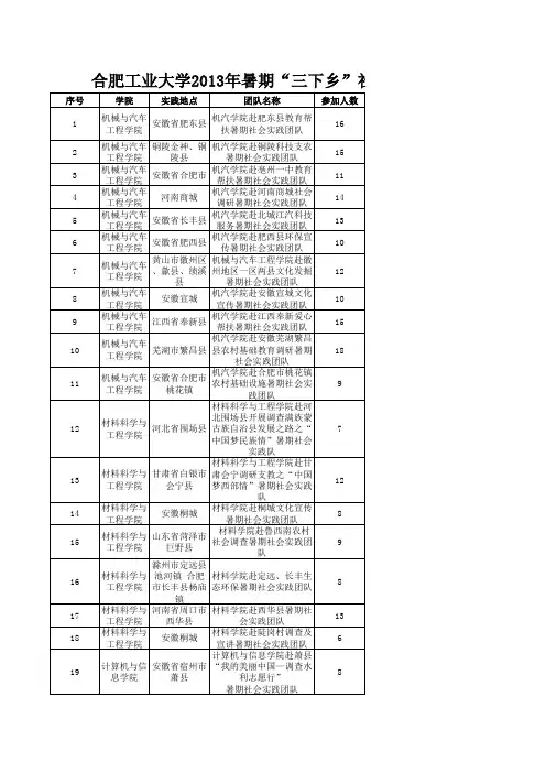 2013年合肥工业大学大学生暑期“三下乡”社会实践重点团队