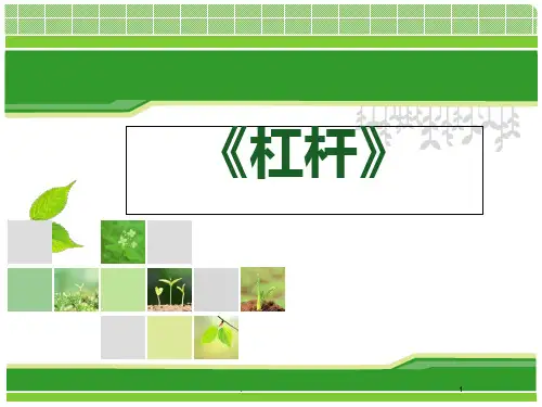 《杠杆》说课PPT课件