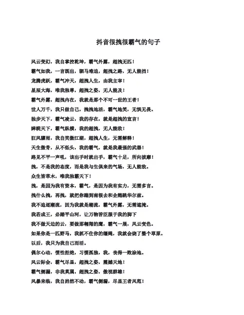 抖音很拽很霸气的句子