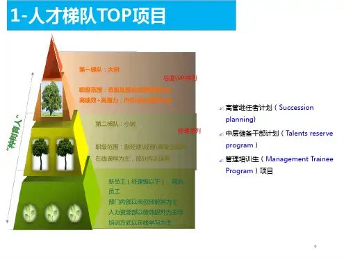 组织发展与继任计划方案