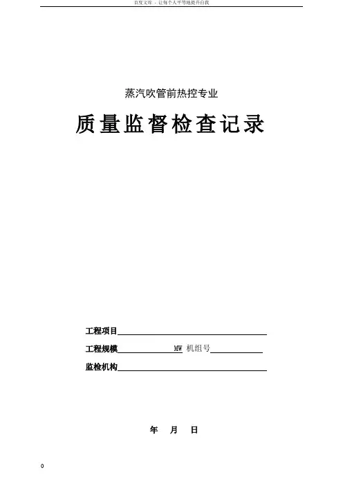蒸汽吹管前热控专业质量监督检查记录