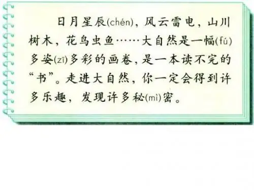 最大的书