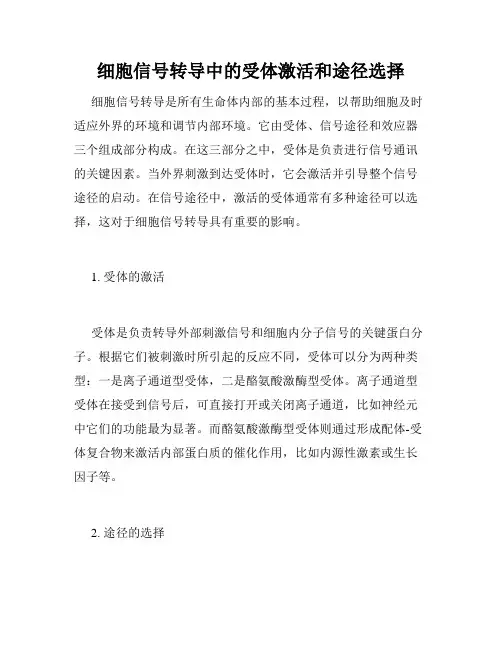 细胞信号转导中的受体激活和途径选择
