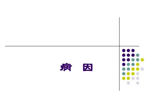 病因PPT课件