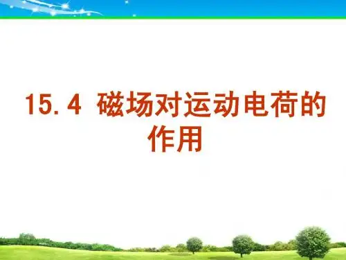 15.4运动电荷在磁场中受到的力