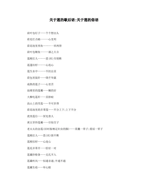 关于莲的歇后语关于莲的俗语