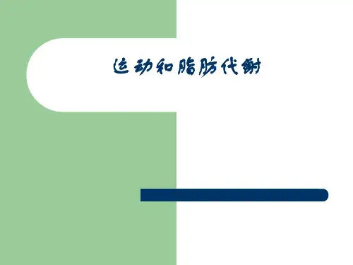 运动和脂肪代谢