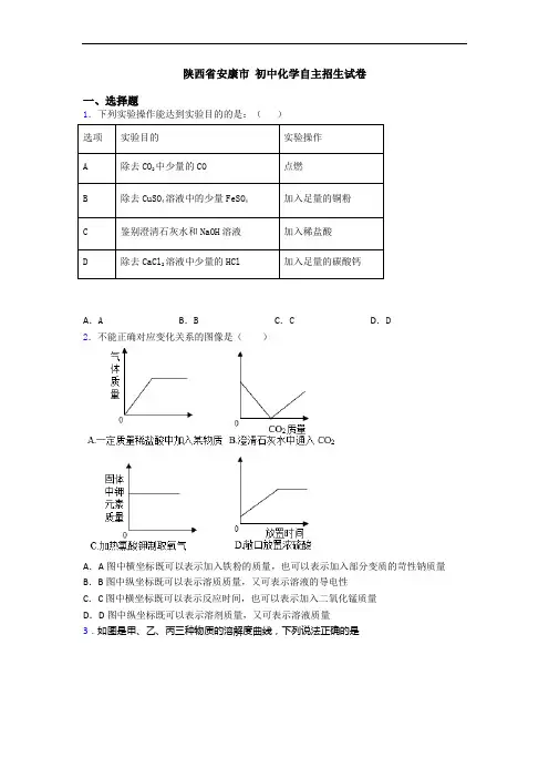 陕西省安康市 初中化学自主招生试卷