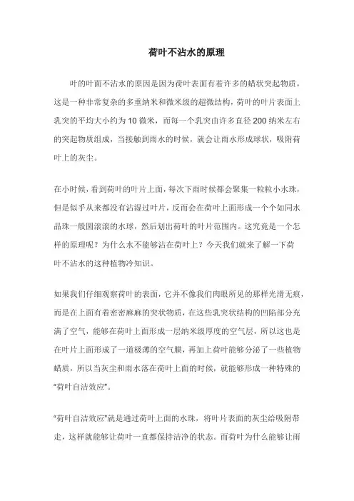 荷叶不沾水的原理