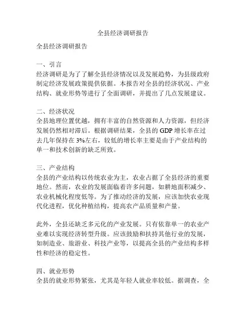 全县经济调研报告