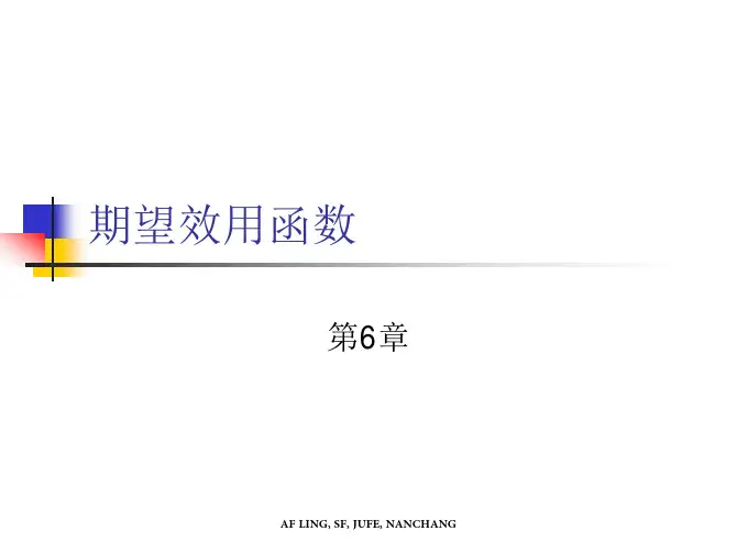 ch6期望效用函数