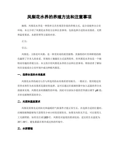 凤梨花水养的养殖方法和注意事项