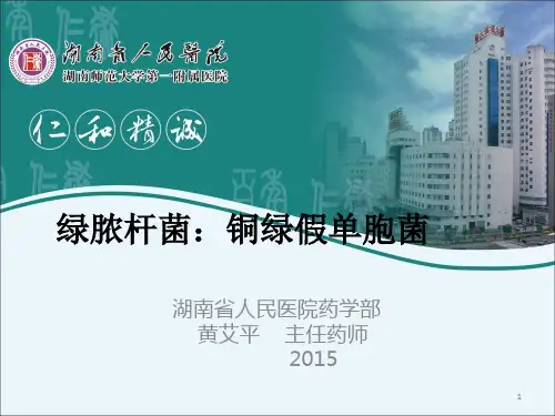 绿脓杆菌的治疗 黄艾平