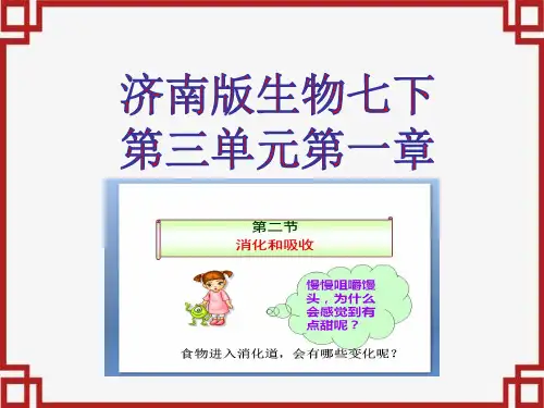 山东省菏泽市牡丹区2020济南版生物七下第三单元第一章第二节消化和吸收课件(PPT,29)