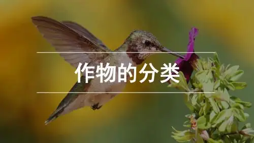 农学概论-作物分类