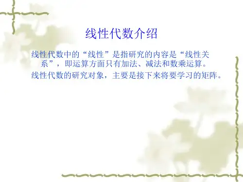 线性代数教案11