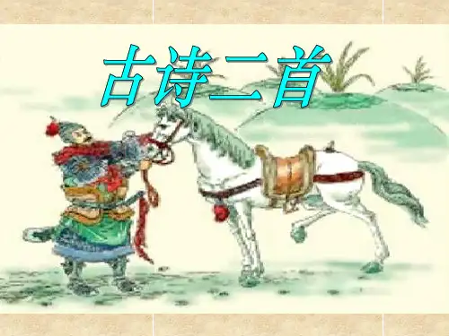《房兵曹胡马》PPT课件