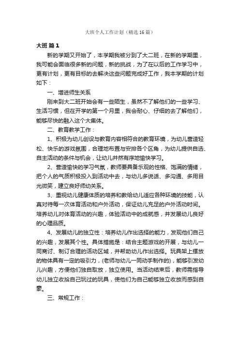 大班个人工作计划（精选16篇）