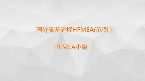 失效模式与效应分析(HFMEA)范例