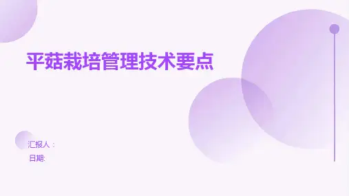 平菇栽培管理技术要点