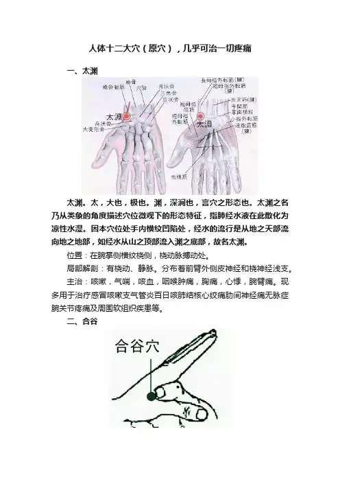 人体十二大穴（原穴），几乎可治一切疼痛