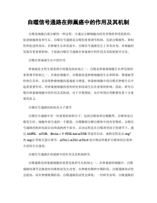 自噬信号通路在卵巢癌中的作用及其机制
