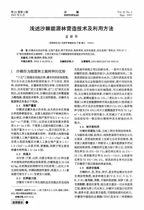 浅述沙棘能源林营造技术及利用方法