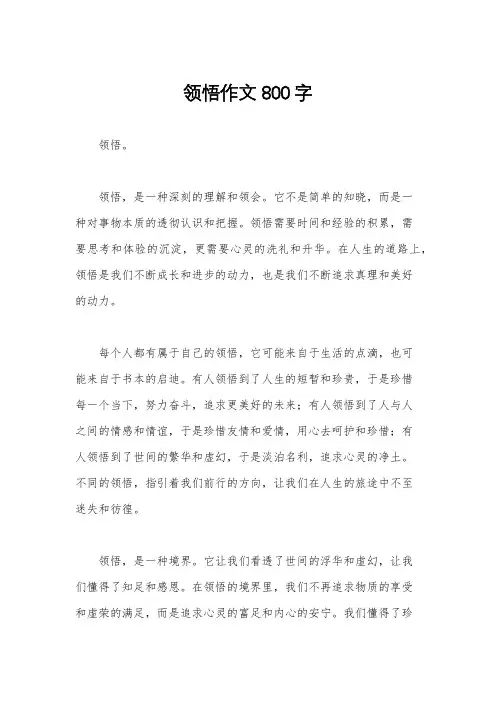 领悟作文800字