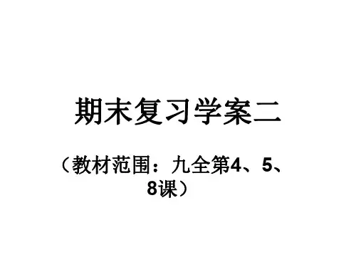 九年级政治下册期末复习