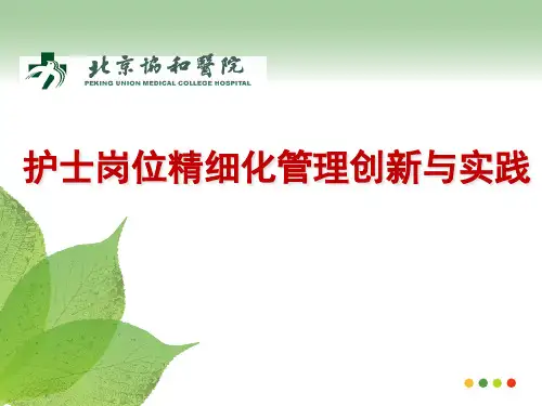 护士岗位精细化管理创新与实践课件
