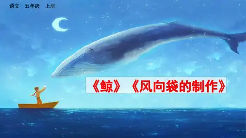 部编版五年级上册第五单元习作例文《鲸》《风向袋的制作》课件(共27张PPT)