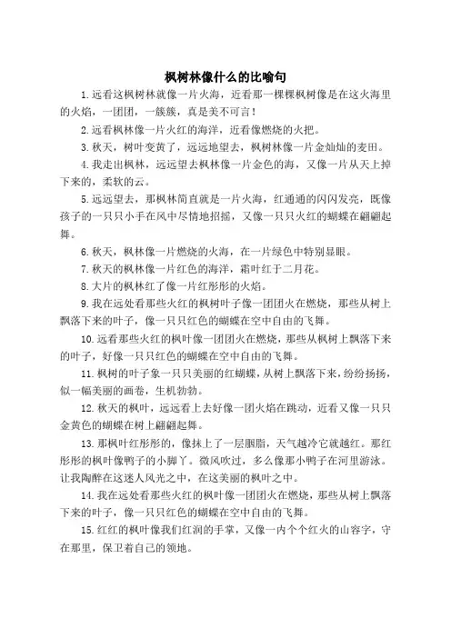 枫树林像什么的比喻句