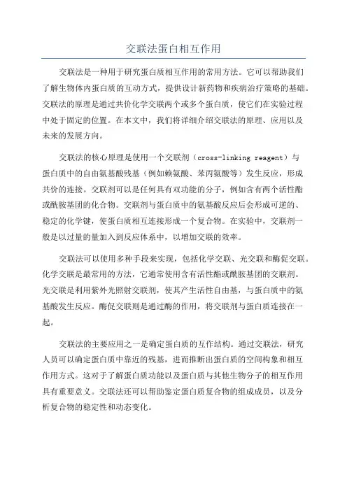 交联法蛋白相互作用