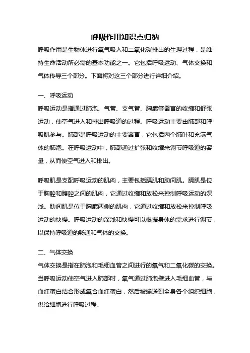 呼吸作用知识点归纳