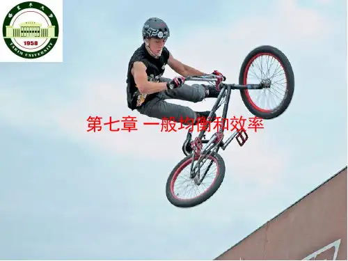 马工程-西方经济学-第7章-一般均衡和效率