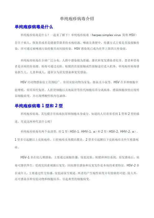 单纯疱疹病毒介绍