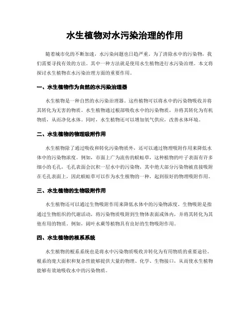 水生植物对水污染治理的作用