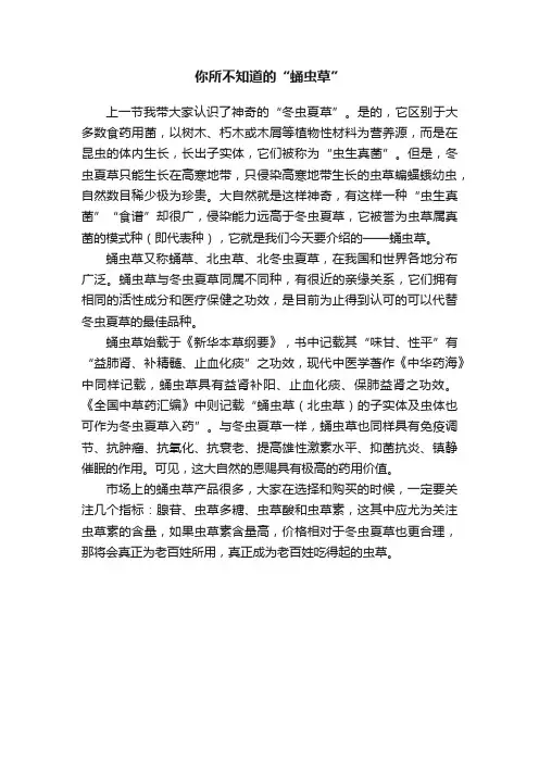你所不知道的“蛹虫草”