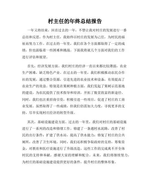 村主任的年终总结报告