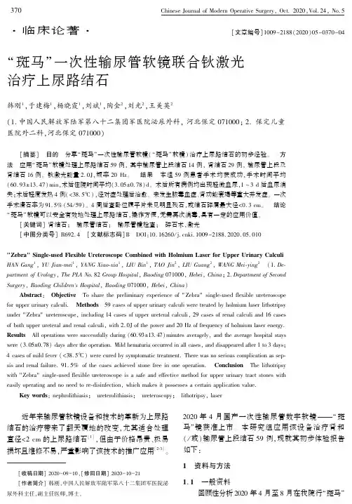 “斑马”一次性输尿管软镜联合钬激光治疗上尿路结石