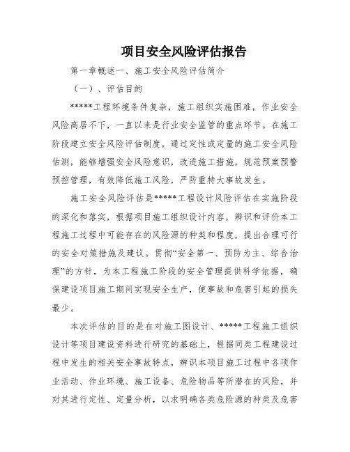 项目安全风险评估报告