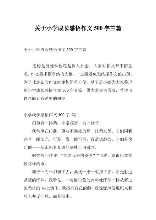 关于小学成长感悟作文500字三篇