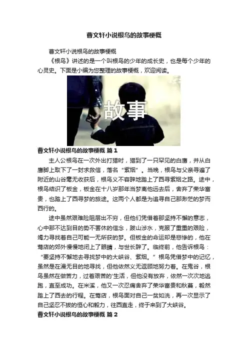 曹文轩小说根鸟的故事梗概