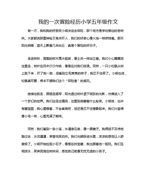 我的一次冒险经历小学五年级作文