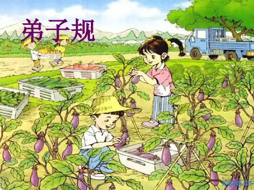 彼说长 此说短
